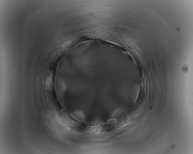 X0000100380127200806131108