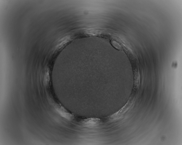 X0000100380128200806131108