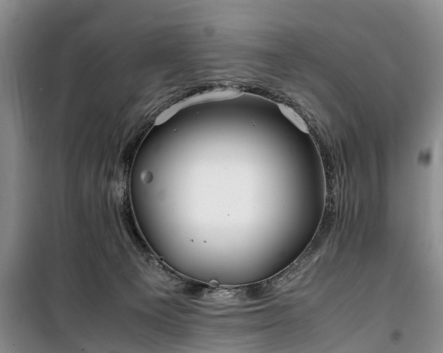 X0000100380129200806131108