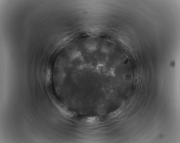 X0000100380130200806131108
