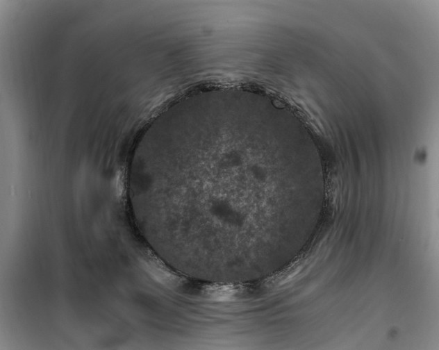 X0000100380131200806131108
