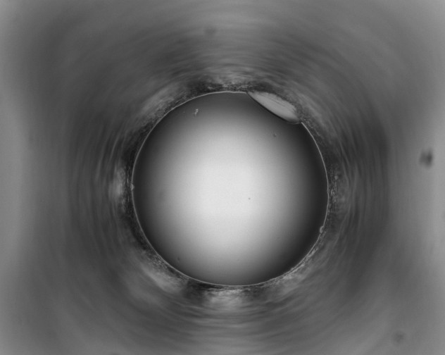 X0000100380132200806131108
