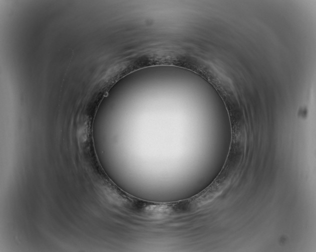X0000100380133200806131108