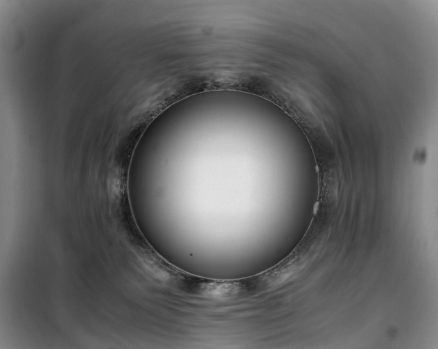X0000100380135200806131108