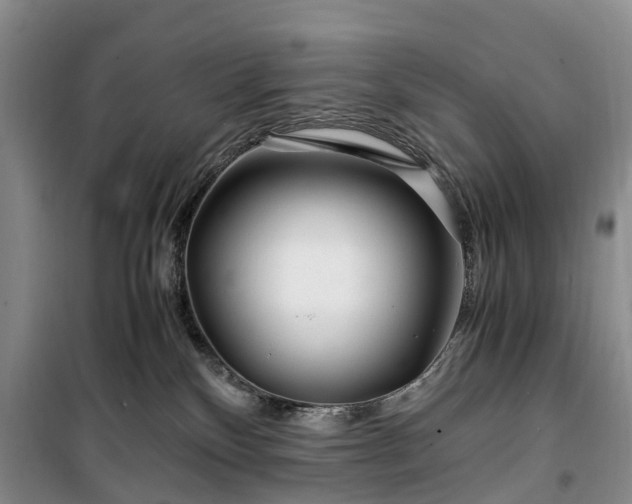 X0000100380136200806131108