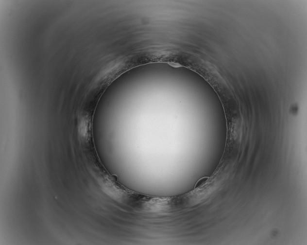 X0000100380138200806131108