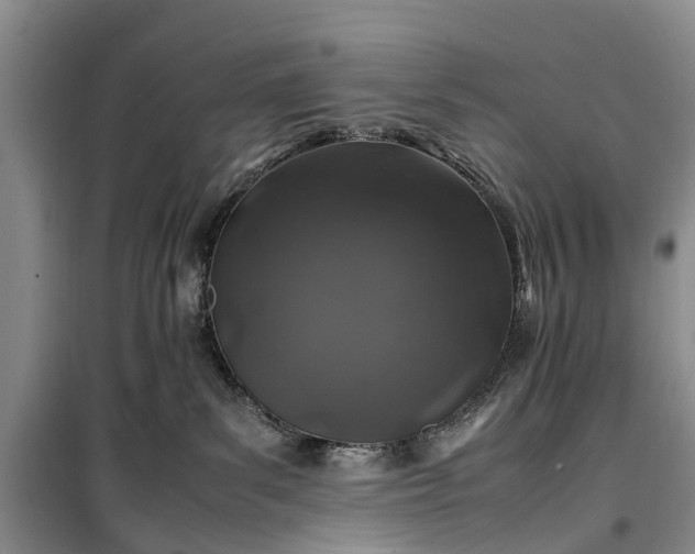 X0000100380139200806131108