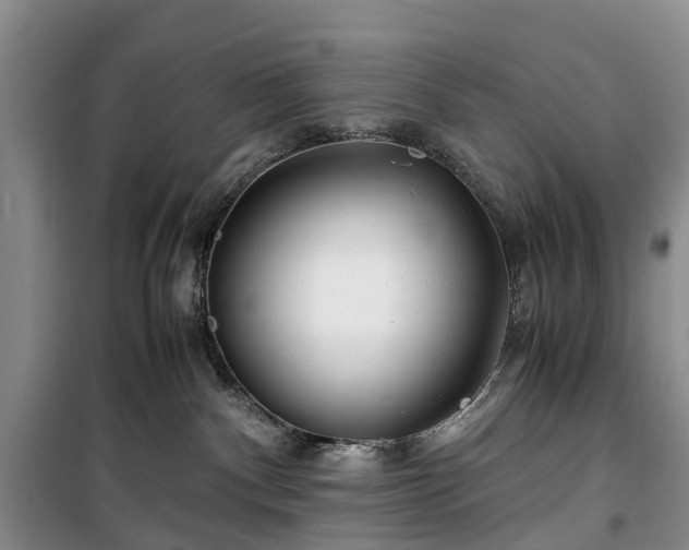 X0000100380140200806131108
