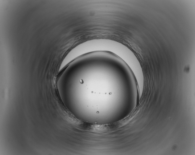 X0000100380141200806131108