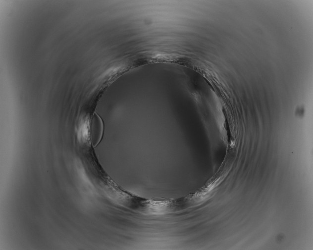 X0000100380143200806131108