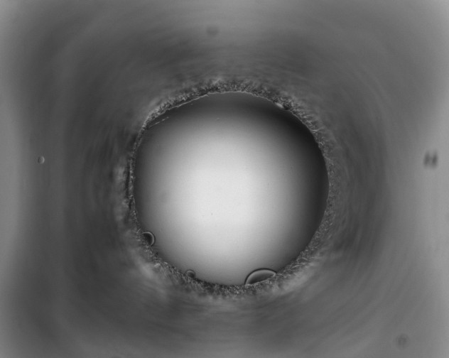 X0000100380144200806131108