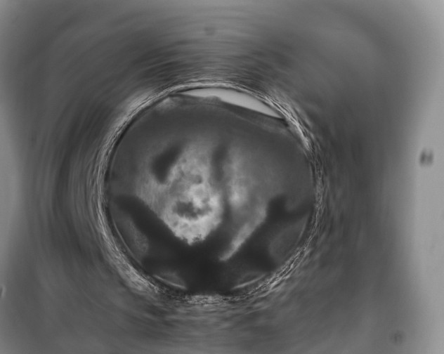 X0000100380145200806131107