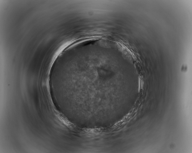 X0000100380147200806131107