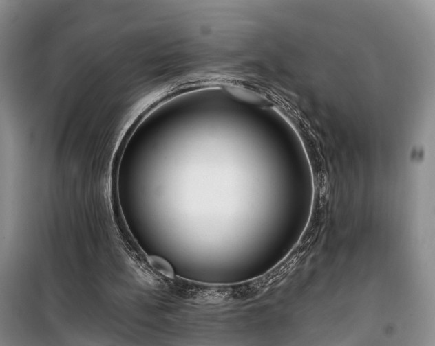X0000100380148200806131107