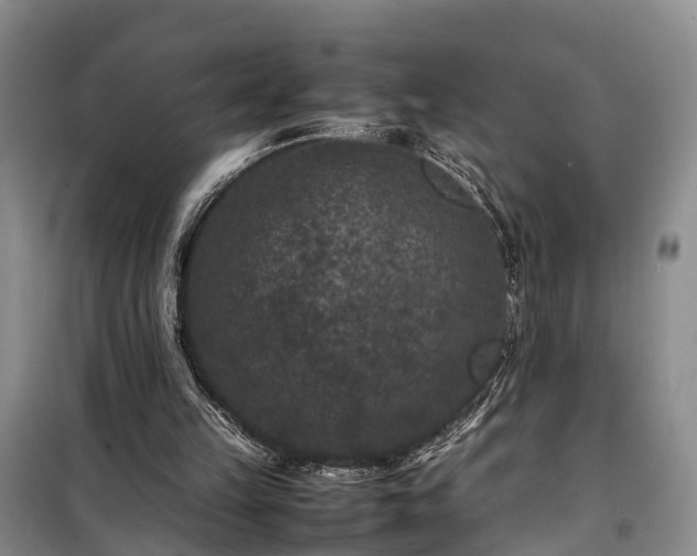 X0000100380149200806131107