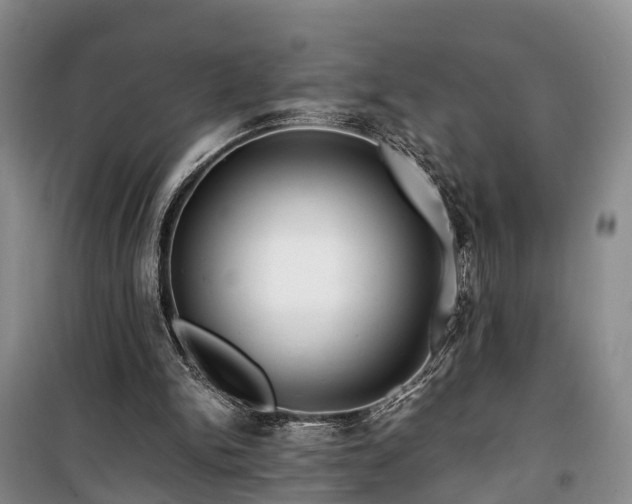 X0000100380150200806131107