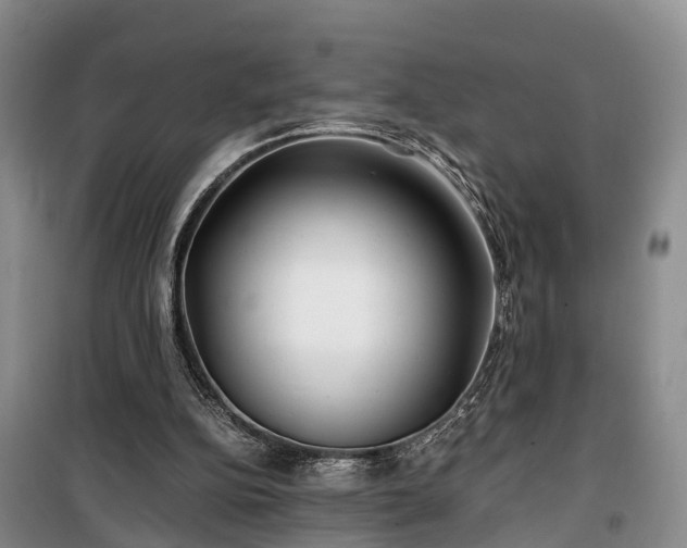 X0000100380152200806131107