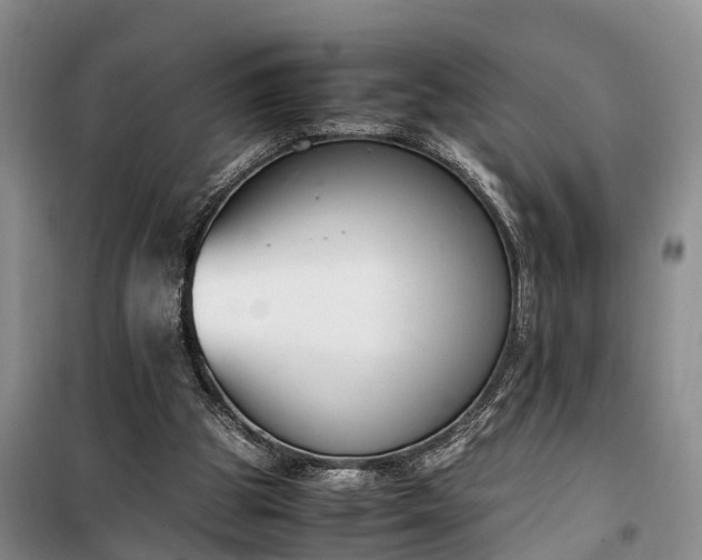 X0000100380153200806131107