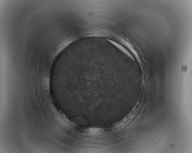 X0000100380154200806131107