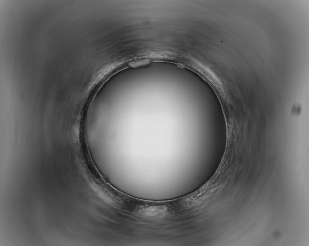 X0000100380155200806131107