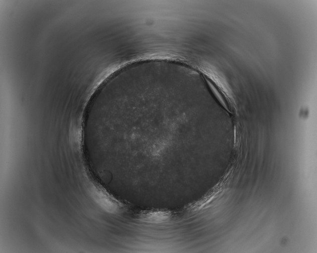 X0000100380156200806131107