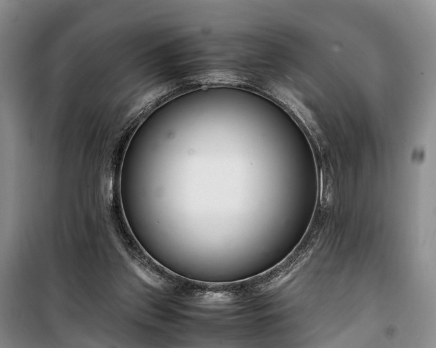 X0000100380157200806131107