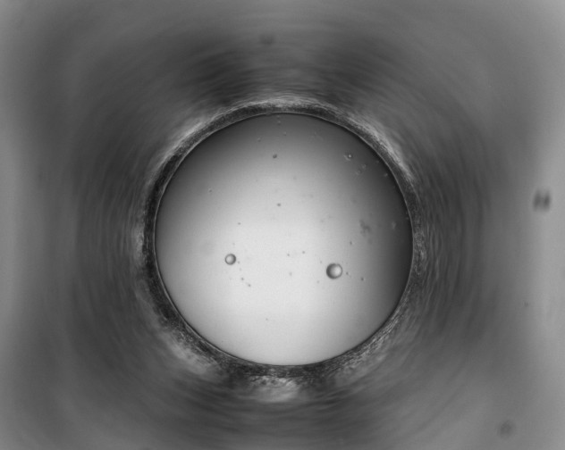 X0000100380159200806131107