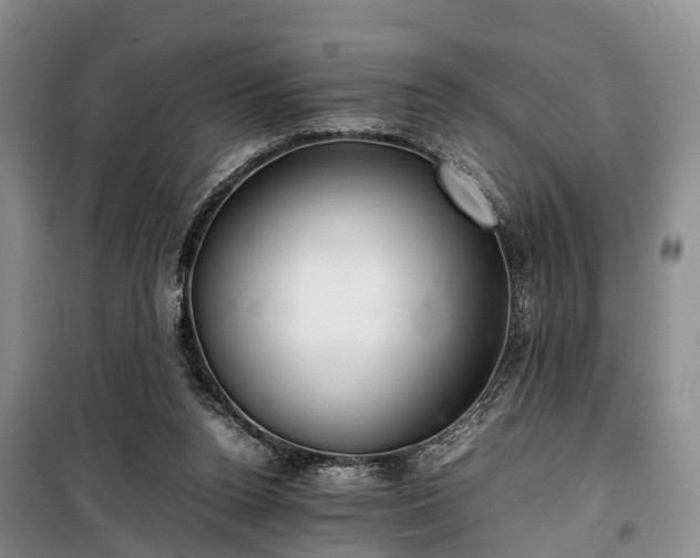 X0000100380160200806131107