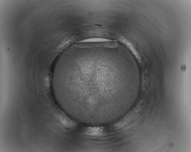 X0000100380161200806131107