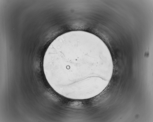 X0000100380162200806131107