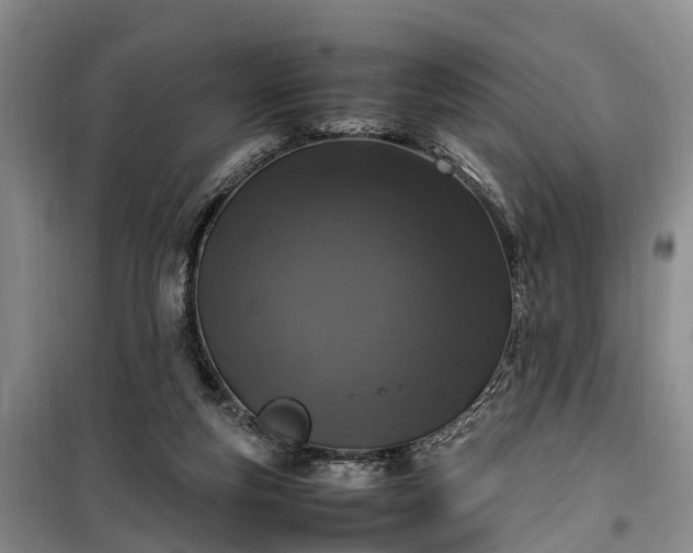 X0000100380163200806131107