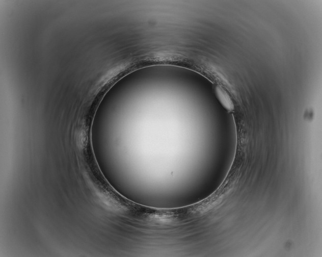 X0000100380164200806131107