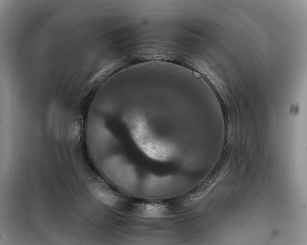 X0000100380165200806131107