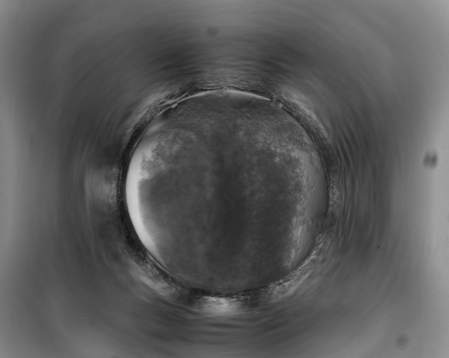 X0000100380167200806131107