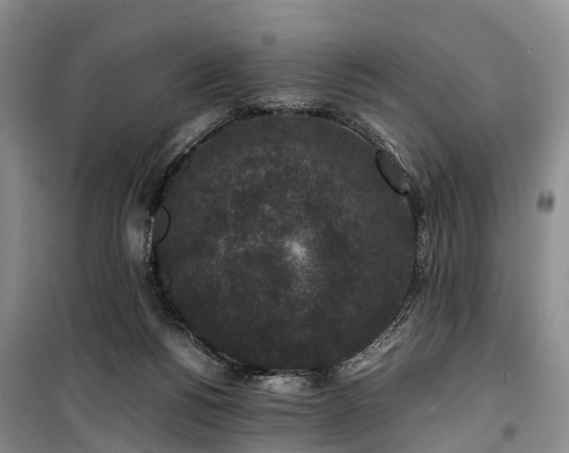 X0000100380168200806131107