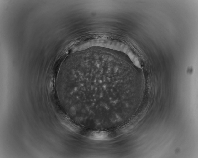 X0000100380169200806131108