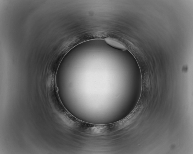 X0000100380172200806131108