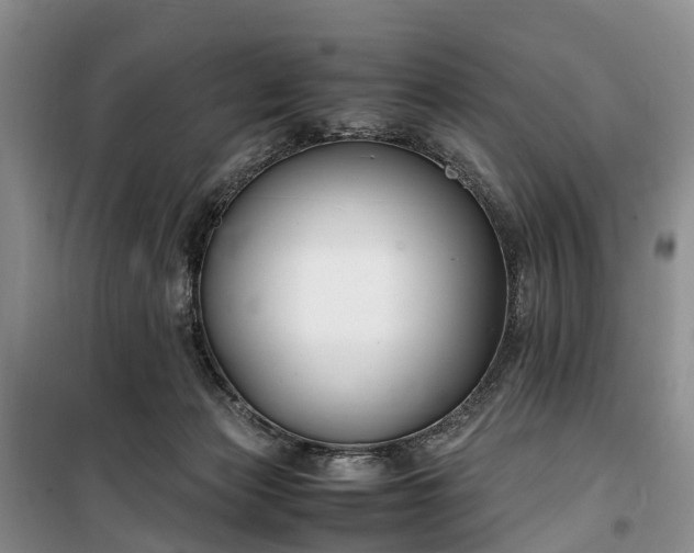 X0000100380173200806131108