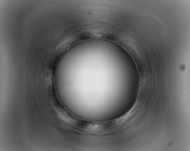X0000100380174200806131108