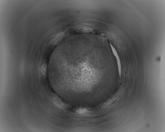 X0000100380177200806131108