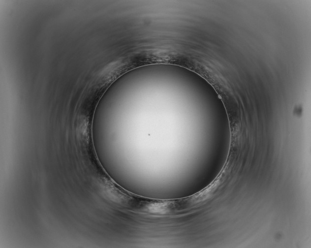 X0000100380178200806131108
