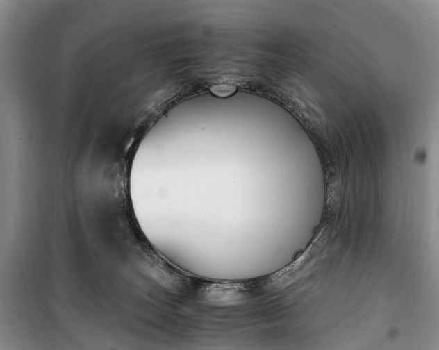X0000100380179200806131108