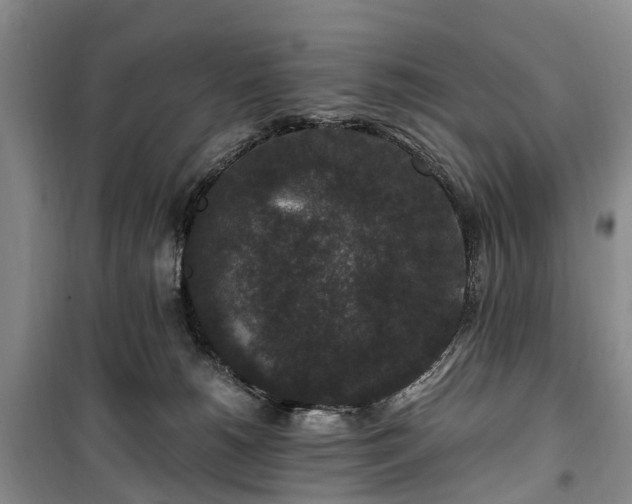 X0000100380180200806131108