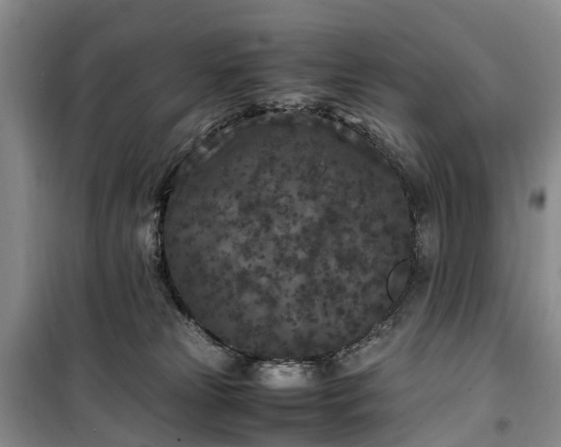 X0000100380181200806131108
