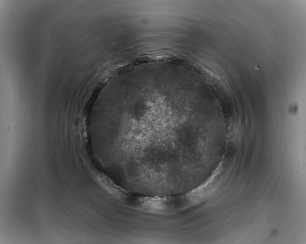 X0000100380182200806131108