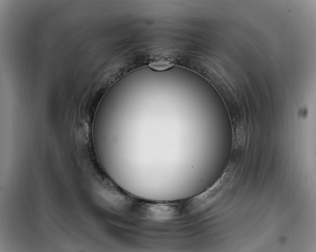 X0000100380183200806131108