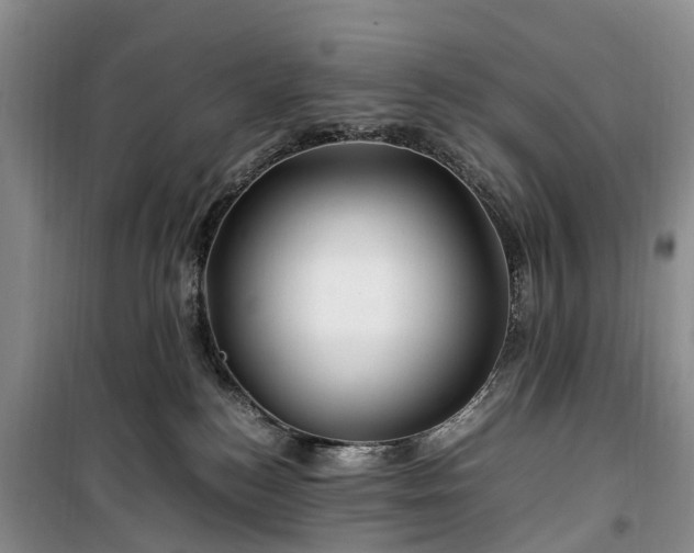 X0000100380184200806131108