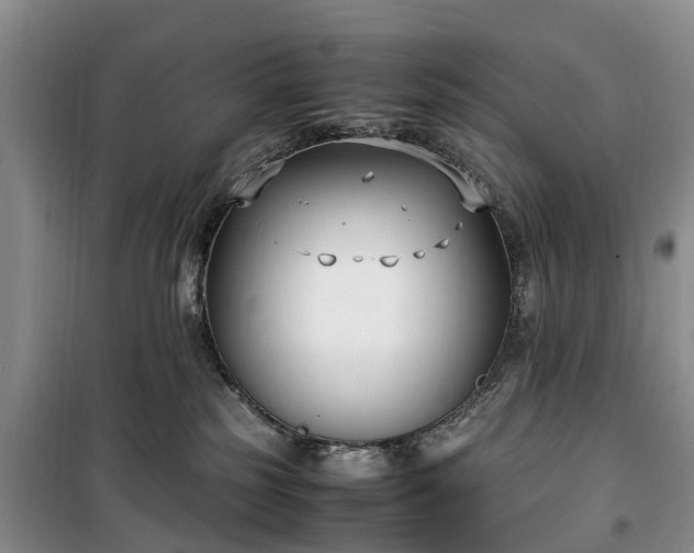 X0000100380185200806131108