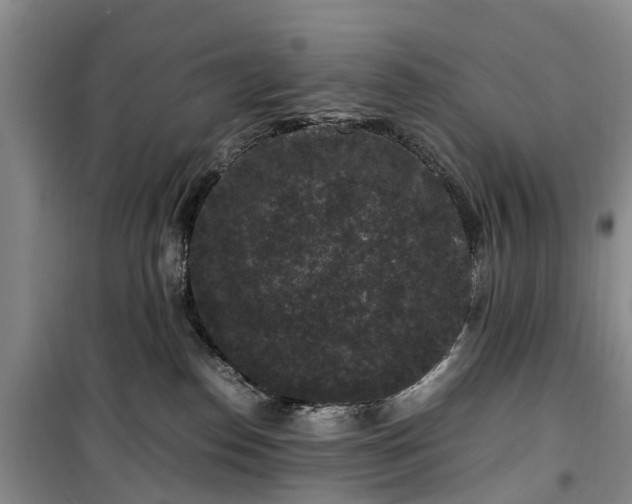 X0000100380186200806131108