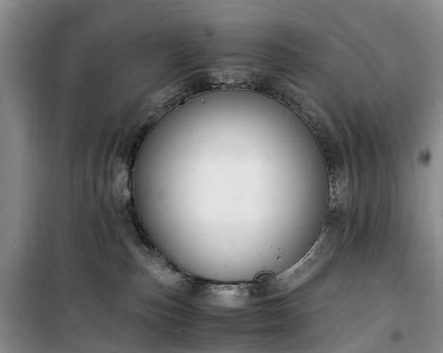 X0000100380187200806131108
